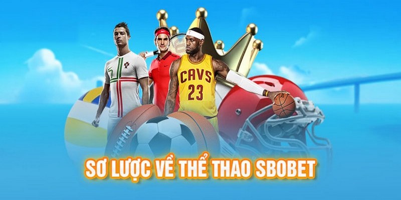 Tổng quan về sảnh SBO VN88